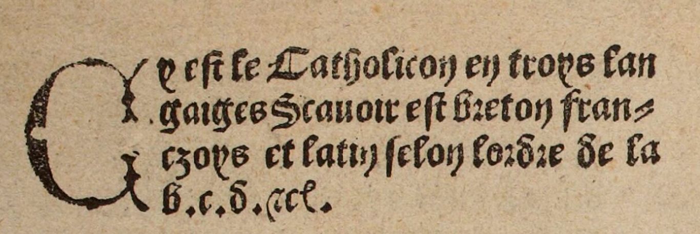 Visuel Catholicon